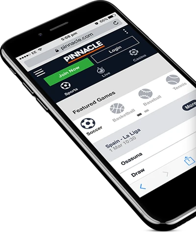 Représentation de la vue Mobile de Pinnacle